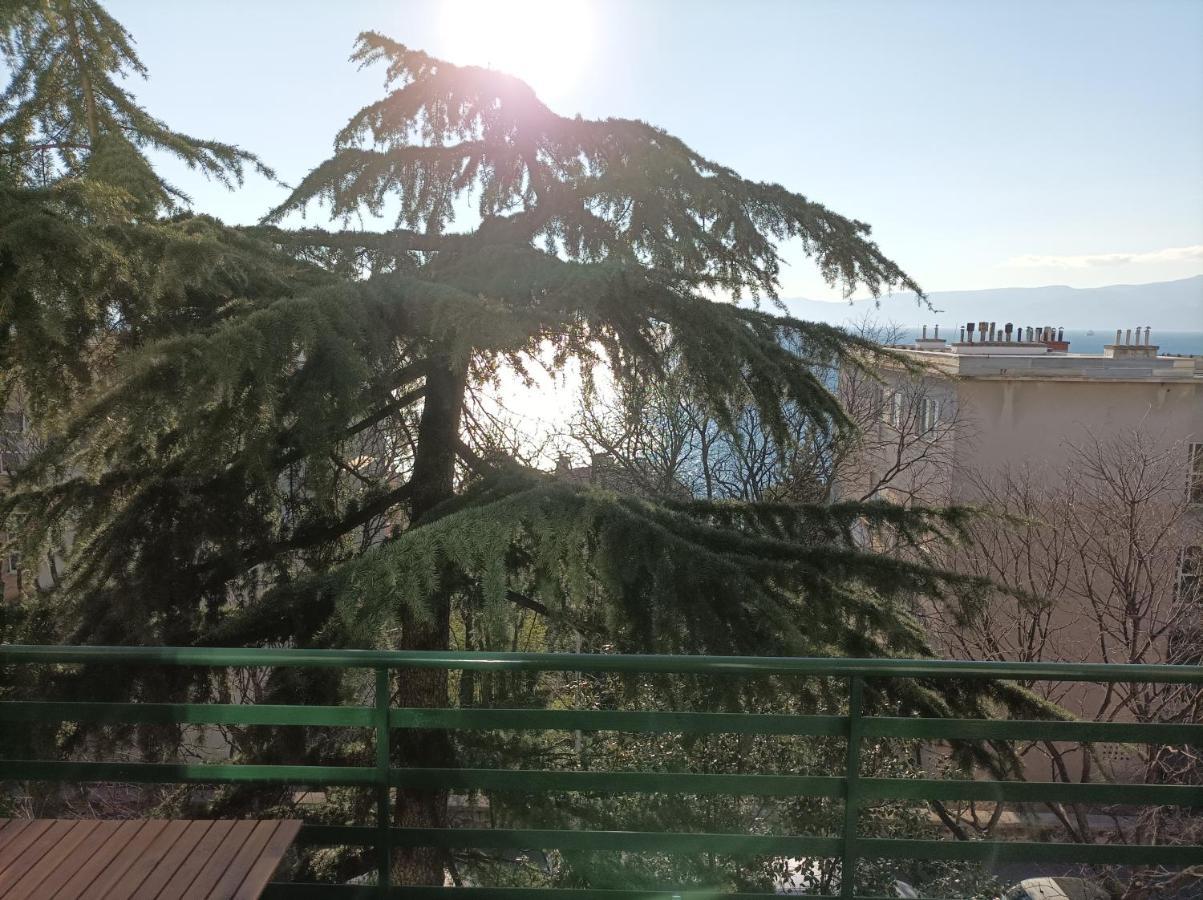 Pecine Rijeka