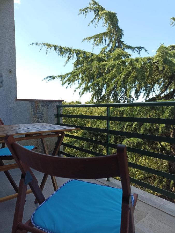 Pecine Apartment